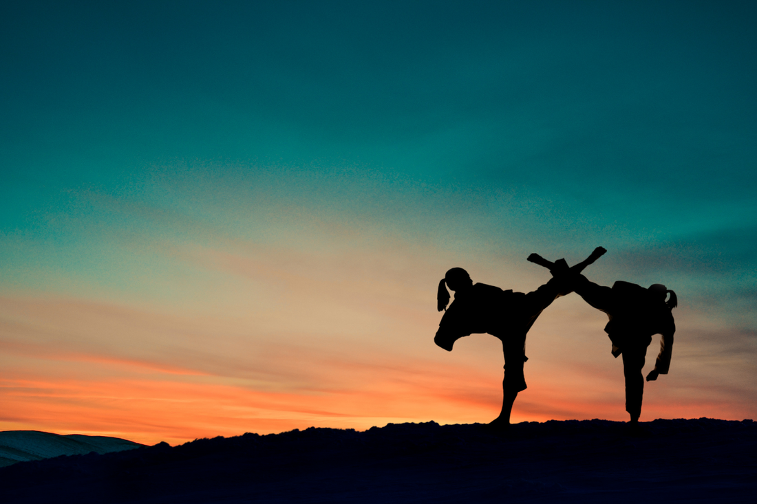 A silhouette of two women doing karate in front of a sunset.