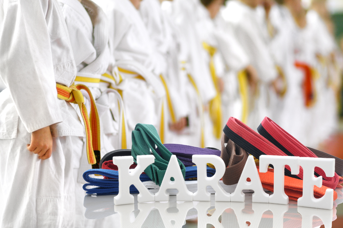 Picture of kids wearing karate uniforms standing in a line with the word Karate in front.